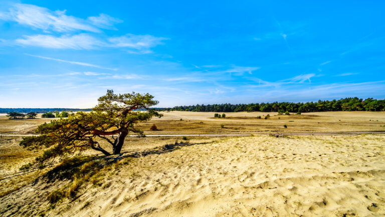 Stad & Land – Etappe 6